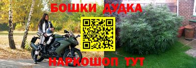 не бодяженный Ставрополь