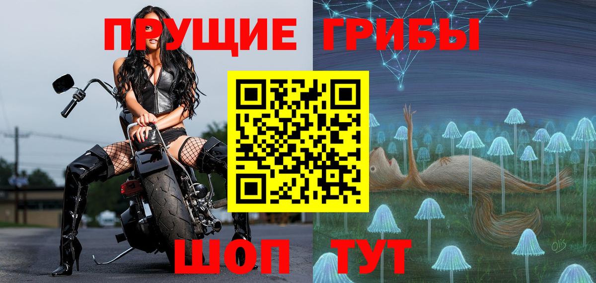 Анжеро-Судженск  Галлюциногенные грибы ЛСД  Псилоцибиновые грибы мицелий  Вход с VPN 