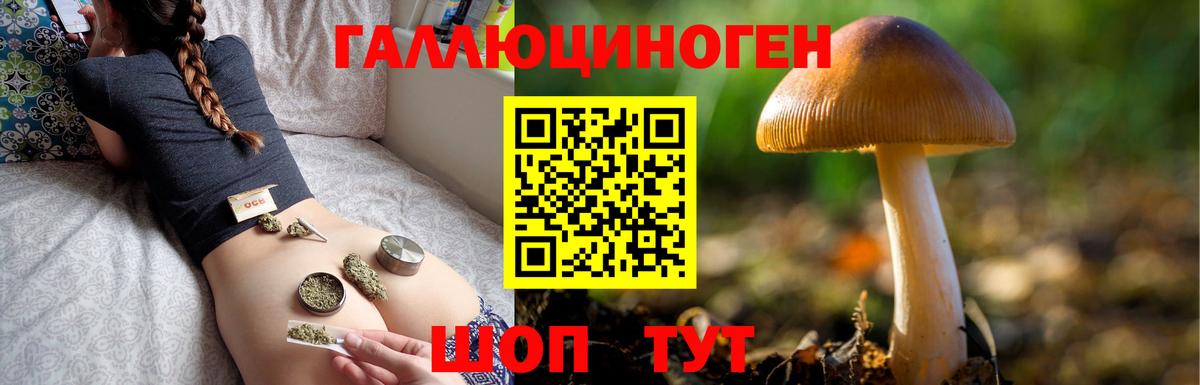 Псилоцибиновые грибы прущие грибы Анжеро-Судженск